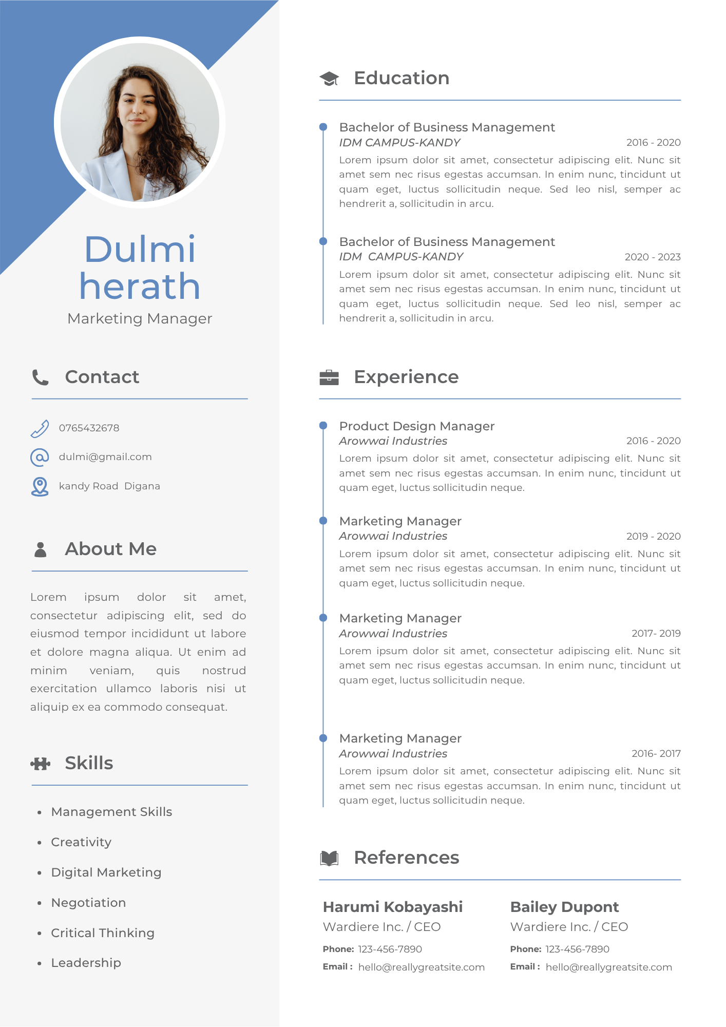 CV Design 1